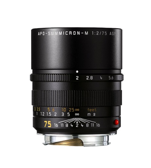 Leica APO Summicron-M 75mm f/2.0 ASPH